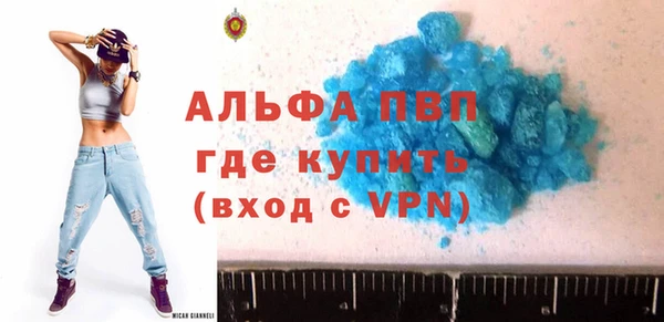 стаф Каменка