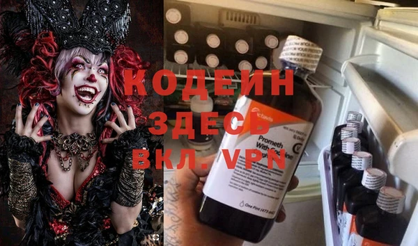 PSILOCYBIN Каменногорск
