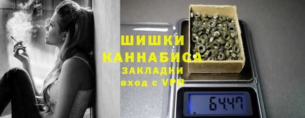 стаф Каменка