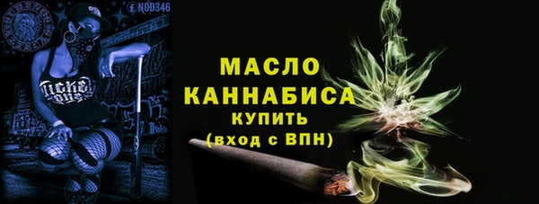 стаф Каменка