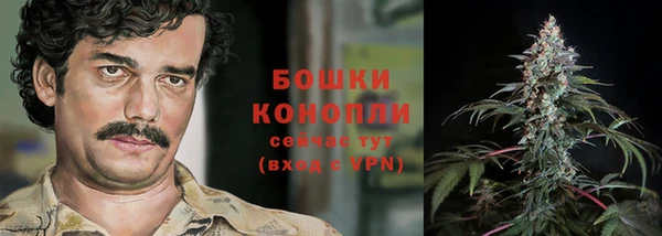 PSILOCYBIN Каменногорск