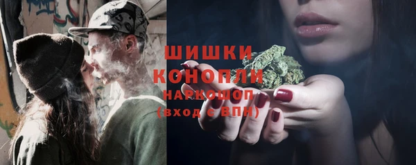 PSILOCYBIN Каменногорск
