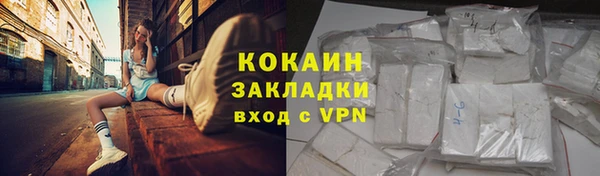 стаф Каменка