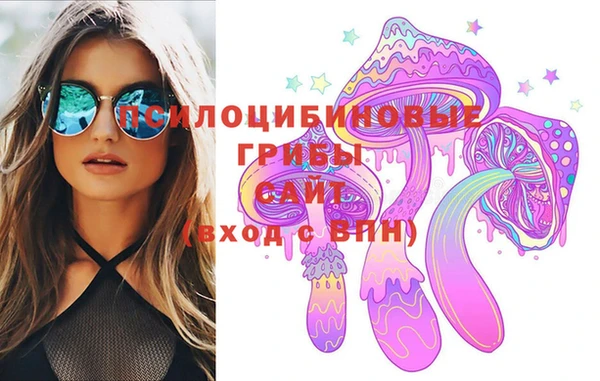 стаф Каменка