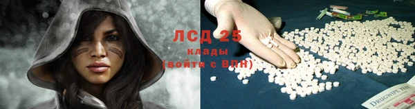 PSILOCYBIN Каменногорск