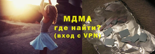 стаф Каменка