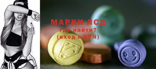 стаф Каменка