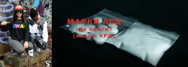 PSILOCYBIN Каменногорск