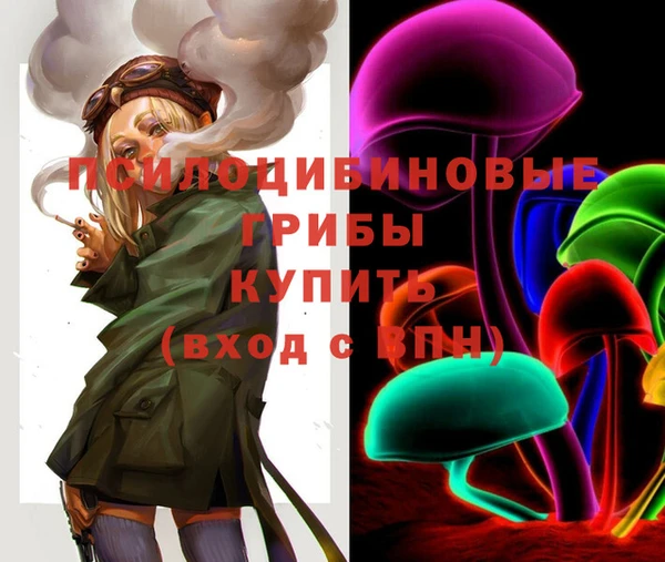 стаф Каменка