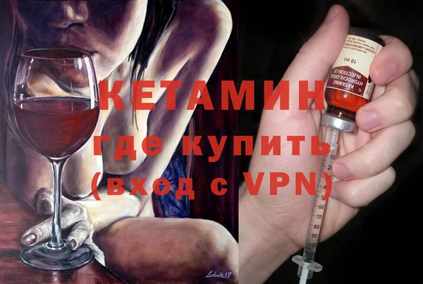 стаф Каменка