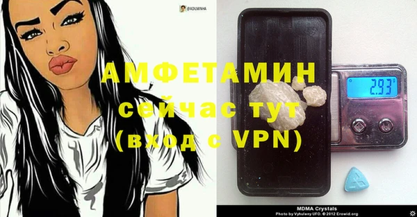 стаф Каменка