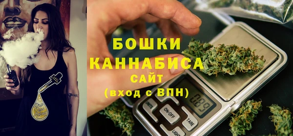 стаф Каменка