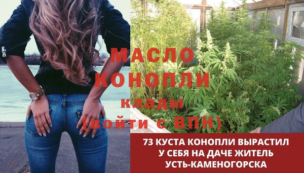 PSILOCYBIN Каменногорск