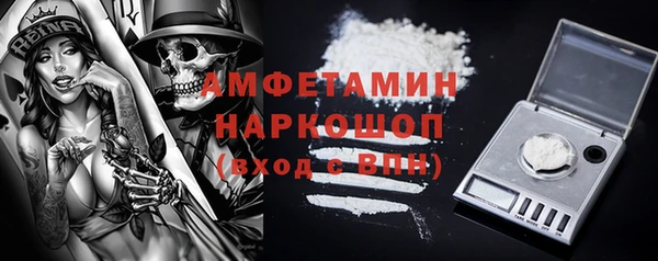 PSILOCYBIN Каменногорск